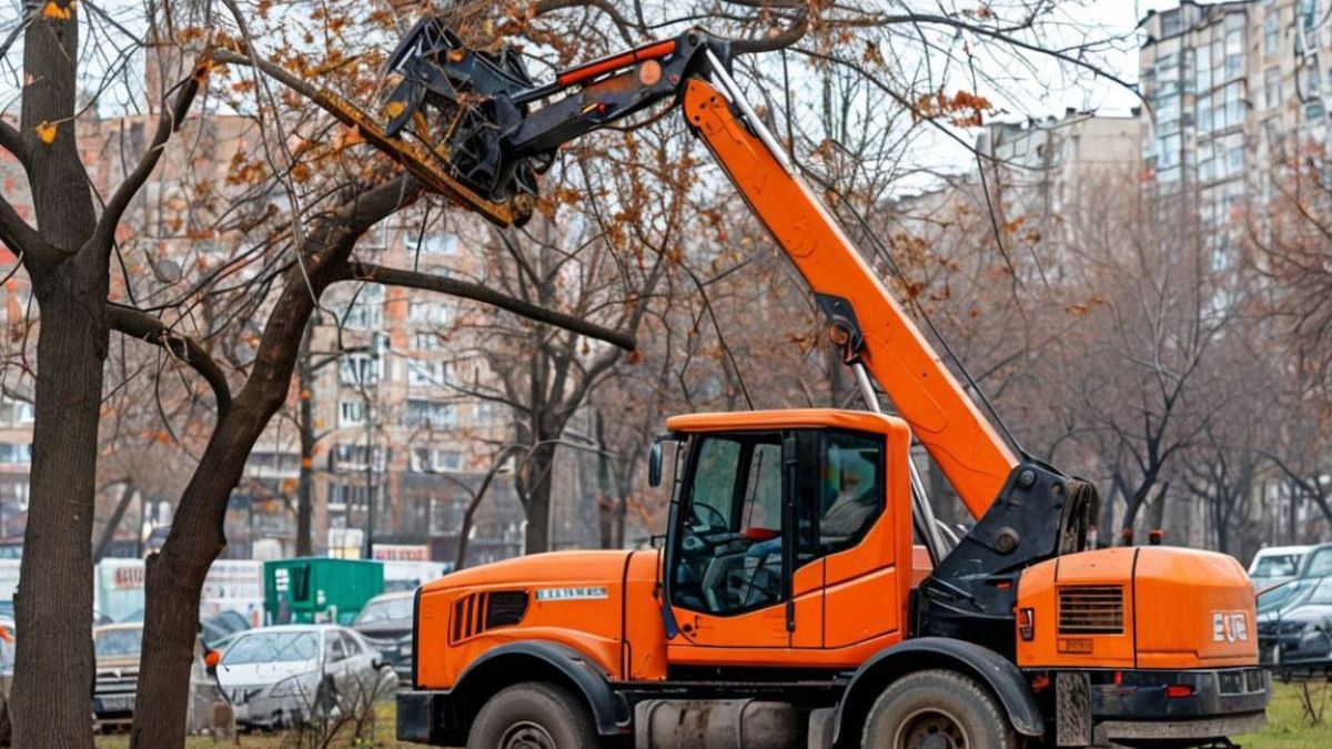 Снос аварийных деревьев
