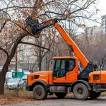 Власти ищут лесорубов для аварийных деревьев в Барнауле: где пройдут работы