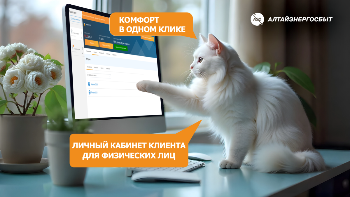 Как оплатить электроэнергию онлайн