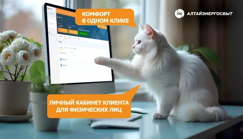 Алтайэнергосбыт: как оплатить электроэнергию онлайн