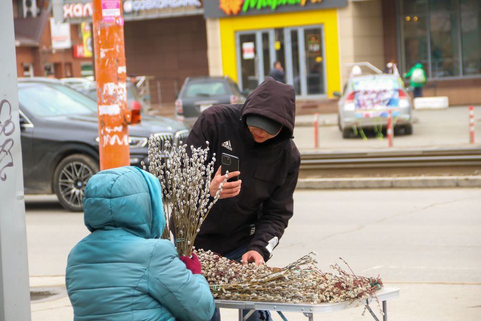 Продажа вербы в Барнауле