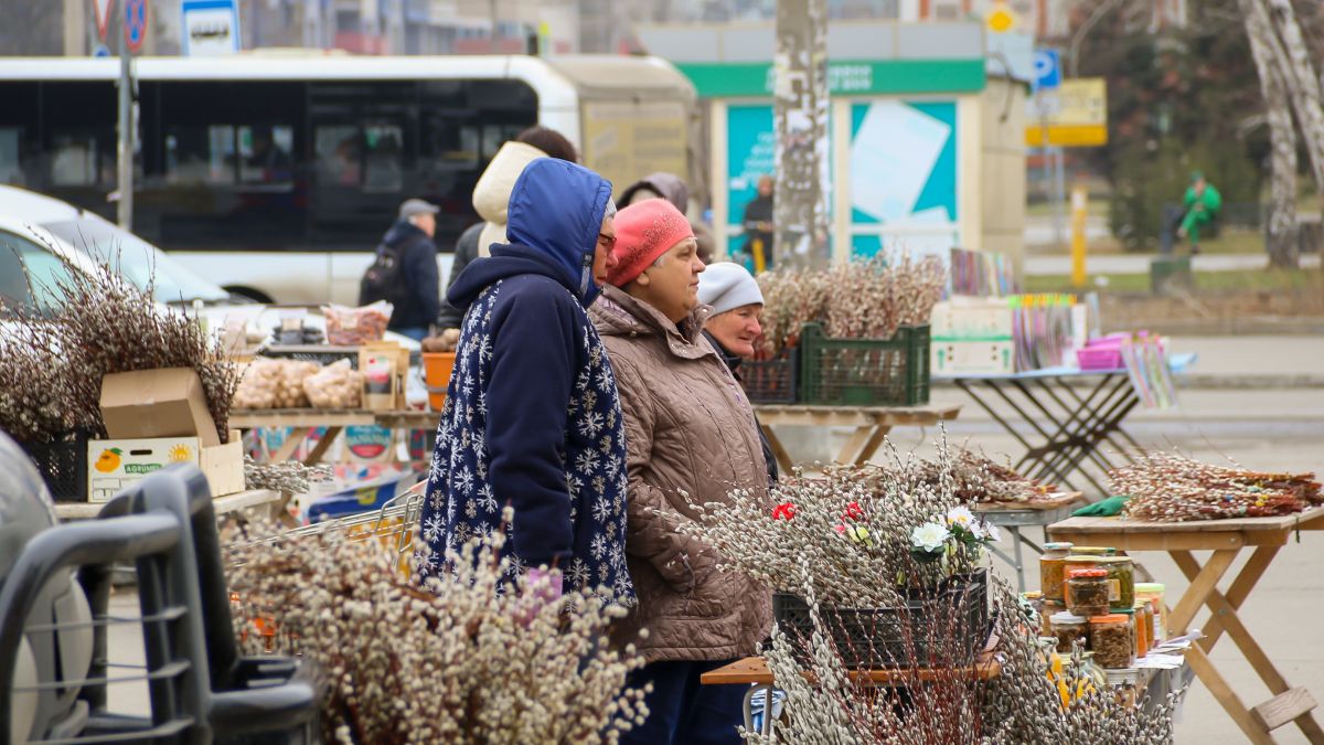 Продажа вербы в Барнауле