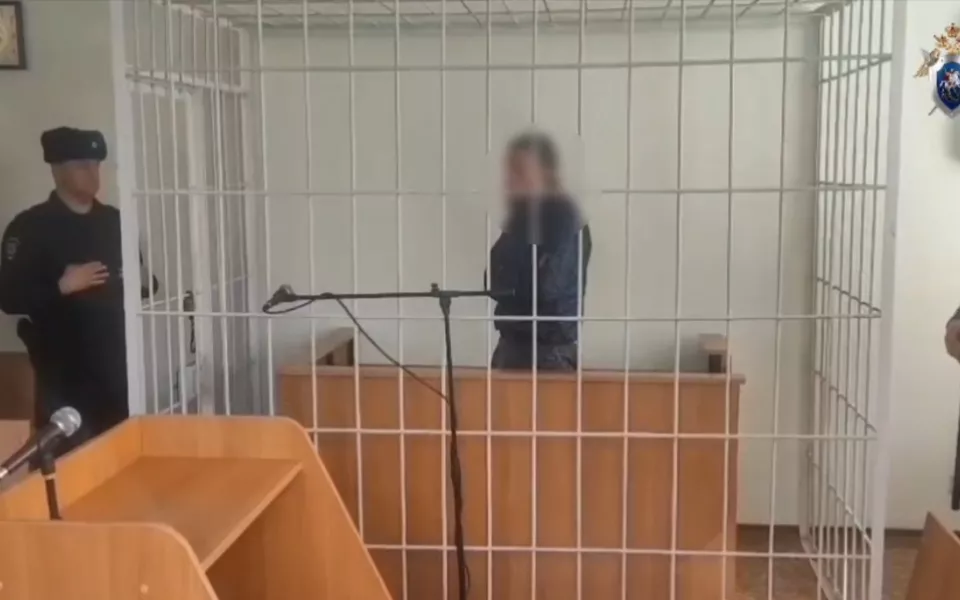 Стрелка-изобретателя из села Бочкари заключили под стражу