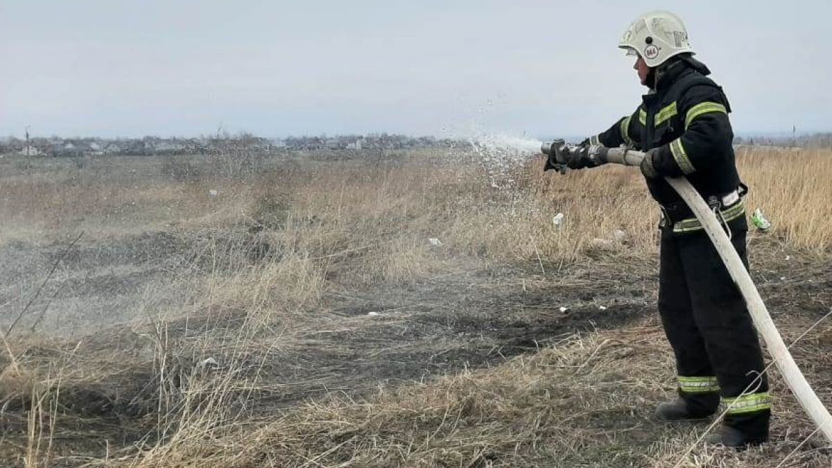 Отжиг сухой травы в Барнауле