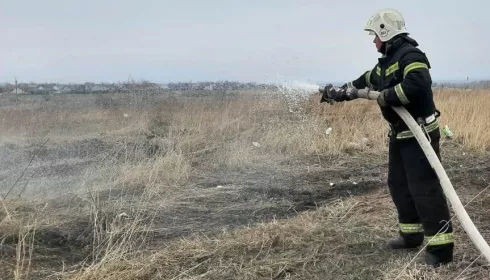 Дату старта пожароопасного сезона объявили в Алтайском крае