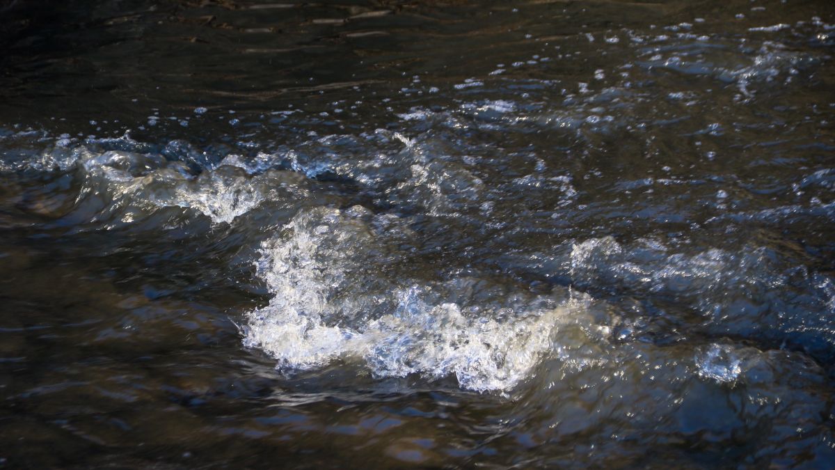 Река Пивоварка. Апрель 2025 года