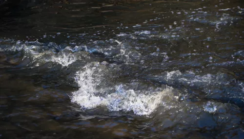 Русло реки Пивоварки восстановят и очистят от мусора в Барнауле