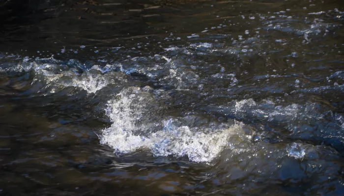 Русло реки Пивоварки восстановят и очистят от мусора в Барнауле