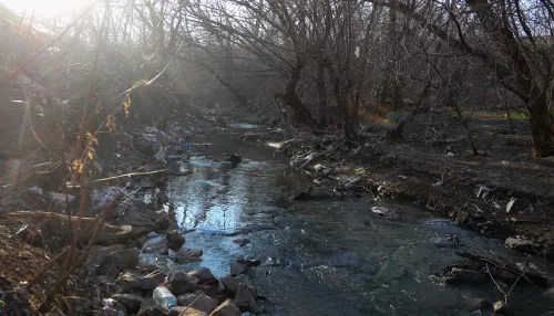 Реку Пивоварку в Барнауле ждут масштабные чистки на миллионы рублей