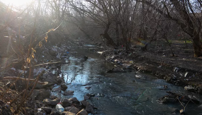 Реку Пивоварку в Барнауле ждут масштабные чистки на миллионы рублей