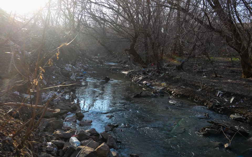 Реку Пивоварку в Барнауле ждут масштабные чистки на миллионы рублей