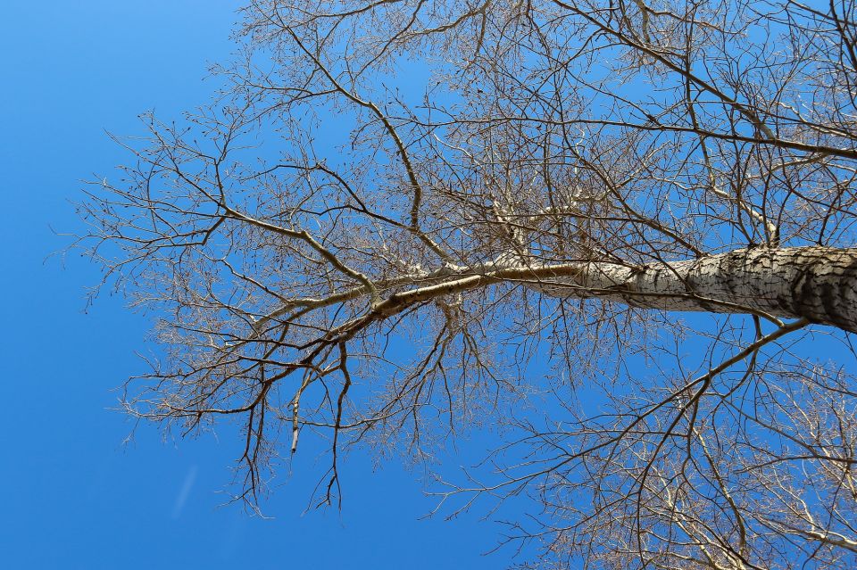 Весна. Апрель.