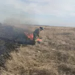 Спасателям удалось отстоять алтайское село при крупном ландшафтном пожаре