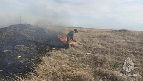 Спасателям удалось отстоять алтайское село при крупном ландшафтном пожаре