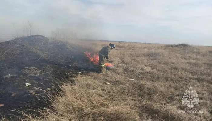 Спасателям удалось отстоять алтайское село при крупном ландшафтном пожаре