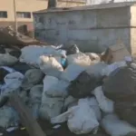 Бийчане завалили мусором контейнерные площадки. Фото