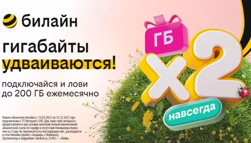Удвоение гигов: билайн запустил акцию для организации интернета в загородном доме