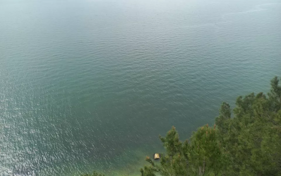 Атаковавшие Сочи беспилотники пересекли границу Абхазии