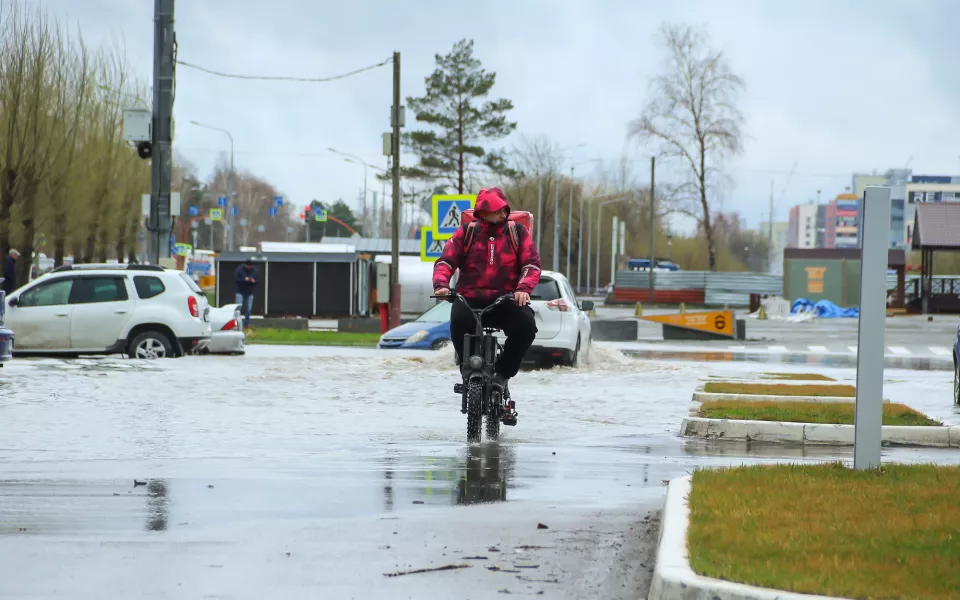 Дожди, ветер до 82 км/ч и холод: какая погода будет в Алтайском крае 28 мая
