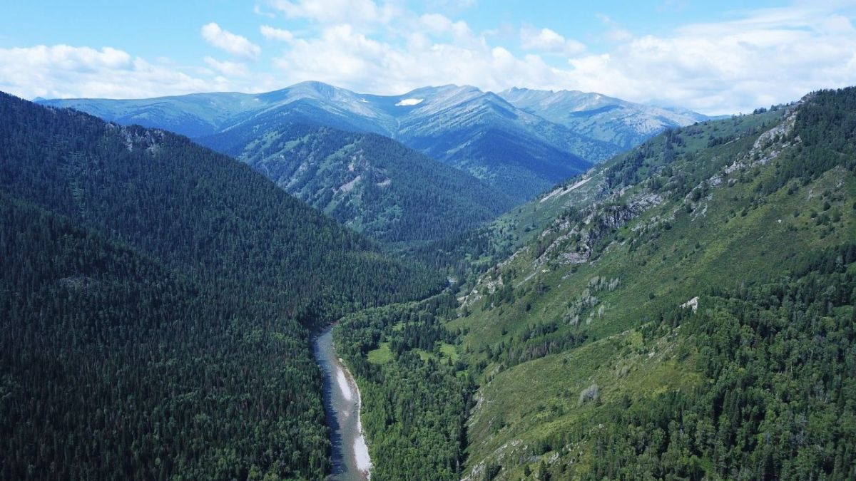 Река Кумир в Чарышском районе