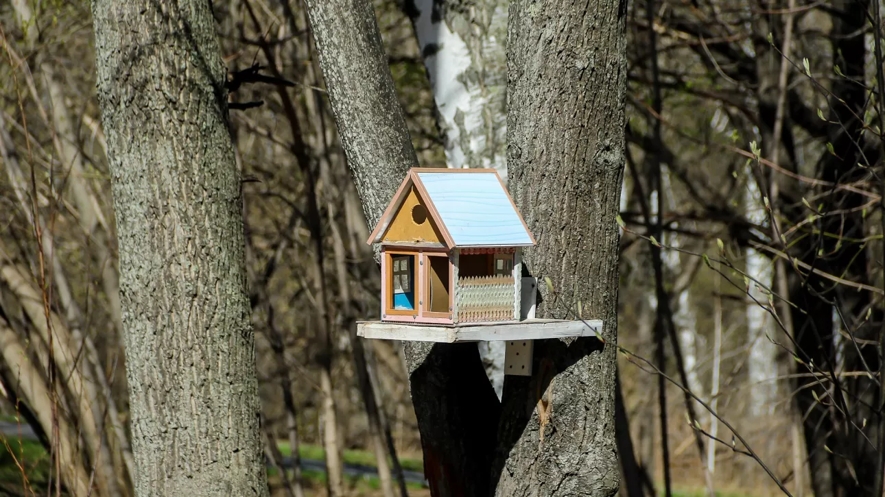 Потепление до +28 градусов нагрянет в Алтайский край к выходным