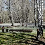 Барнаульский парк Юбилейный продолжат развивать и благоустраивать