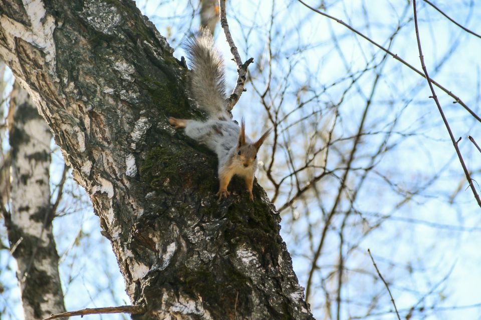 Парк "Юбилейный". Весна. Погода.