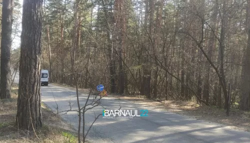 В Барнауле вновь появилась смертельная яма между Борзовой Заимкой и Новосиликатным