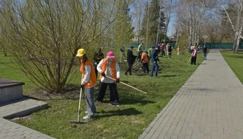 Месячник санитарной очистки и благоустройства начнется в Барнауле с 1 октября