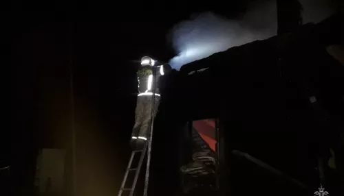 Житель алтайского села погиб при пожаре из-за перекала печи