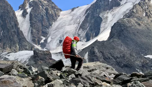 Эксперты рынка оценили перспективы роста ставки турналога в Горном Алтае