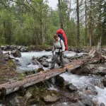 Перешагнули за 700 тысяч: как прошел высокий турсезон в Алтайском крае