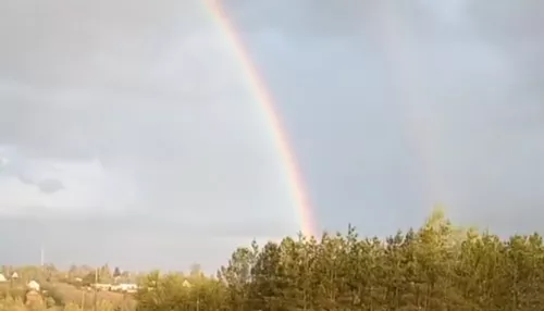 На трассе Бийск — Барнаул запечатлели двойную радугу
