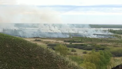 Под Барнаулом тушат крупный ландшафтный пожар. Фото