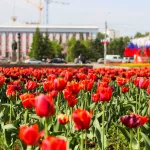 Стало известно, когда в Алтайский край вернется тепло после снегопадов
