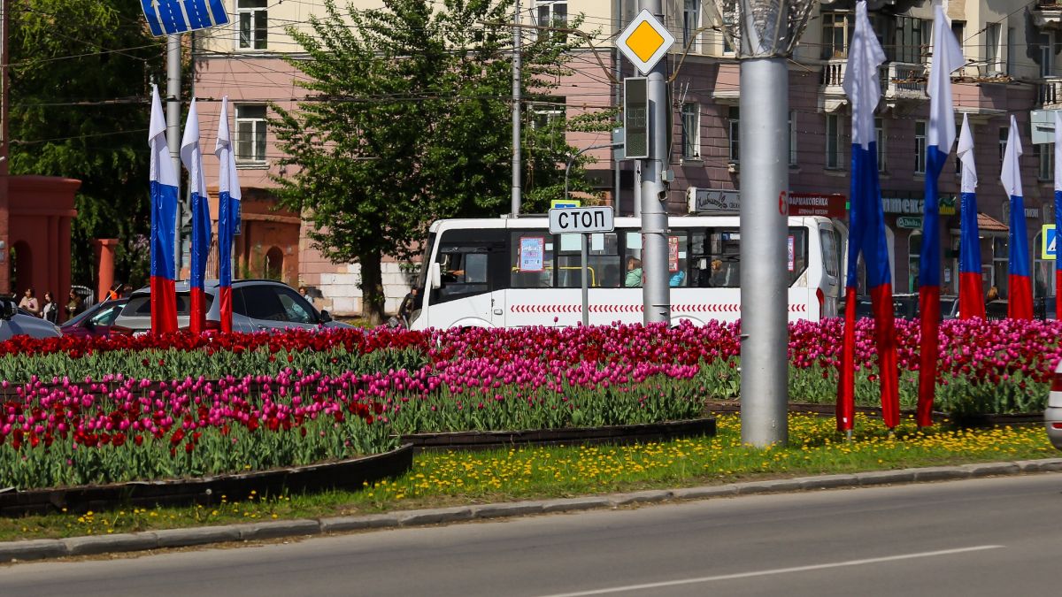 Барнаул. Весна. Погода. Тюльпаны