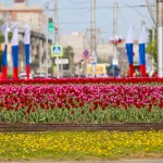 Стало известно, какая погода будет в День Победы в Алтайском крае
