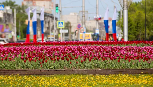 Май, труд, весна! Красивые и торжественные поздравления с 1 Мая в стихах и прозе