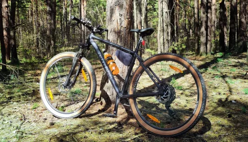 Быстрее, выше, сильнее с BATTERADE: конкурс от Барнаульского пивоваренного завода