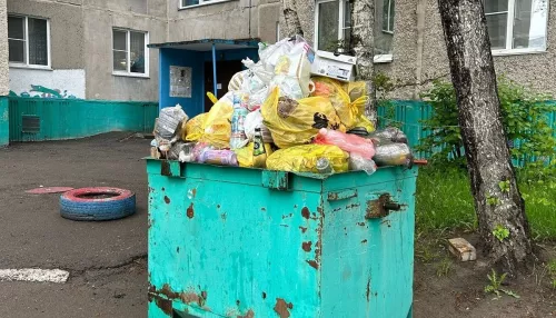 В барнаульском дворе копятся отходы из-за конфликта жильца с водителем мусоровоза