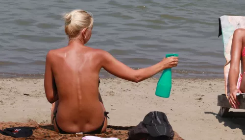 Жаркие аномалии: каким будет лето-2026 в Алтайском крае. Прогноз на полгода