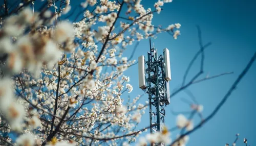 Оператор Т2 увеличил скорость 4G в Новоалтайске