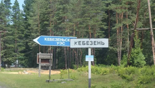 В Турочакском районе Горного Алтая животные портят могилы на кладбище