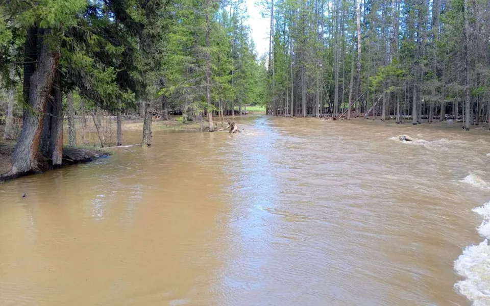 На дороге Улаган  Кара-Кудюр на Алтае обустроили временный проезд из-за подтопления