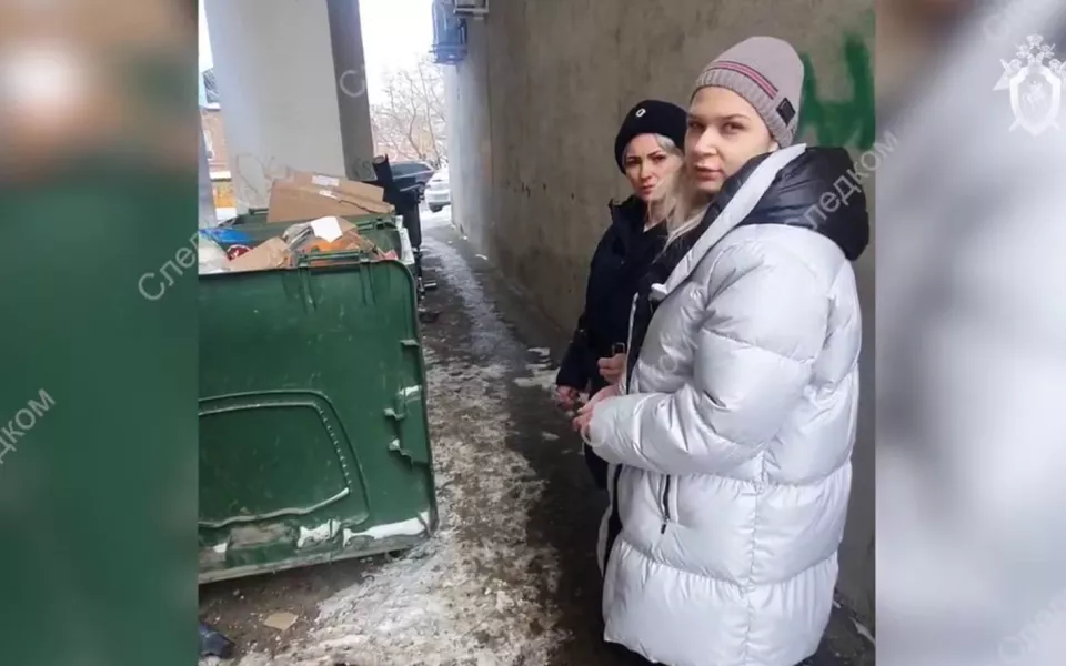 Камеры сняли, как внучка экс-мэра Самары покупает бензопилу перед расправой