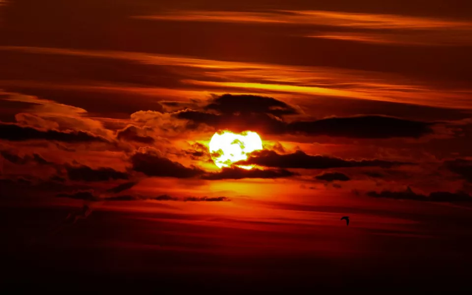 В России средняя температура может повыситься на 2,5 градуса уже через полвека