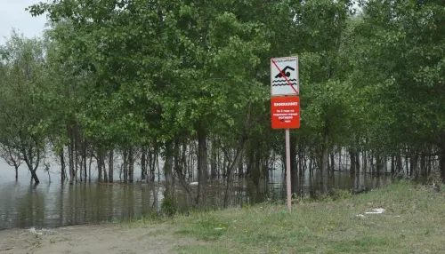 В Алтайском крае Обь поднялась до опасного уровня в районе села Усть-Пристань