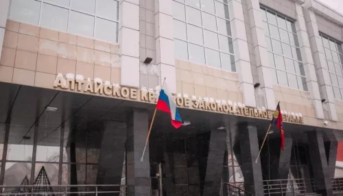 Глава крайизбиркома рассказала, сколько средств потратят на выборы в АКЗС