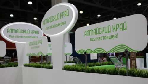 Как Алтайский край презентовали на выставке Интурмаркет-2019?