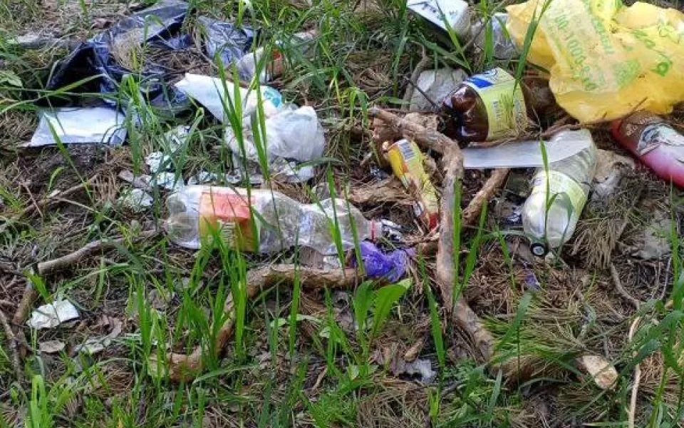 Вместо зелени  пакеты: барнаульцы пожаловались на свалку в лесу на Южном